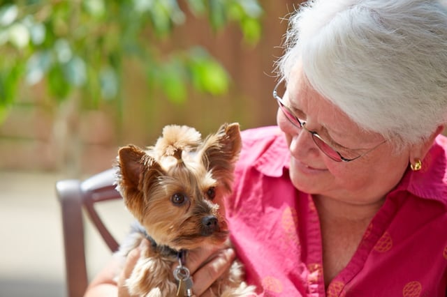 The Effectiveness of AnimalAssisted Therapy Programs