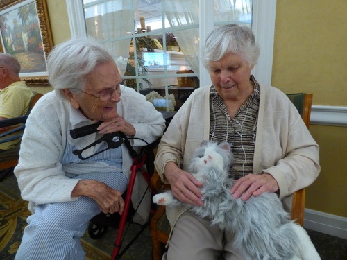 Therapy Pets for Dementia Residents 