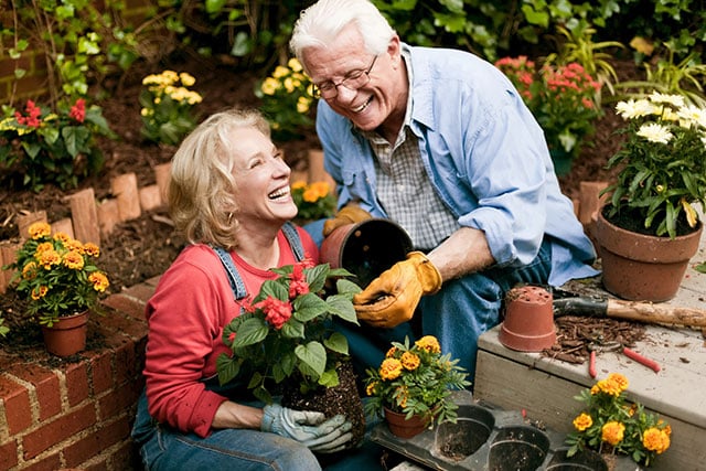 outdoor activities for seniors