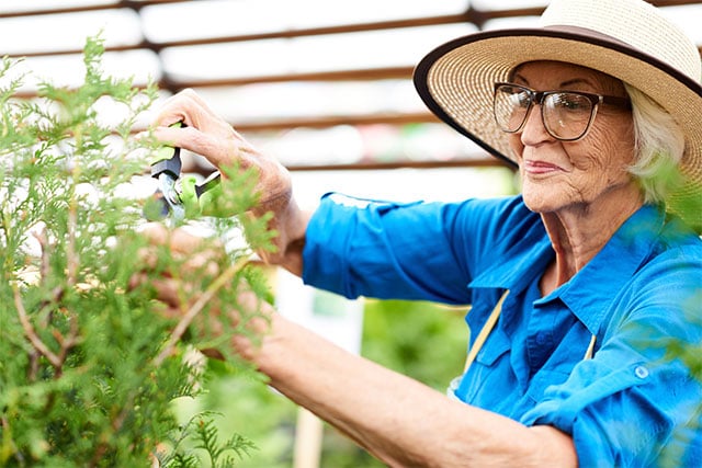 Senior gardening 