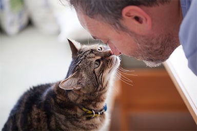 Man with beard leaning over cat 